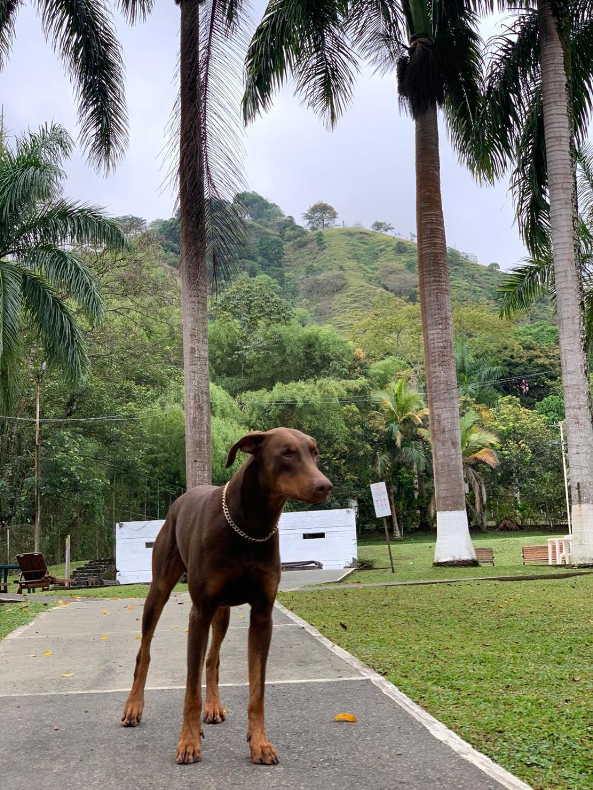 Finca Hotel La Consentida Escondida San Jerónimo Eksteriør bilde