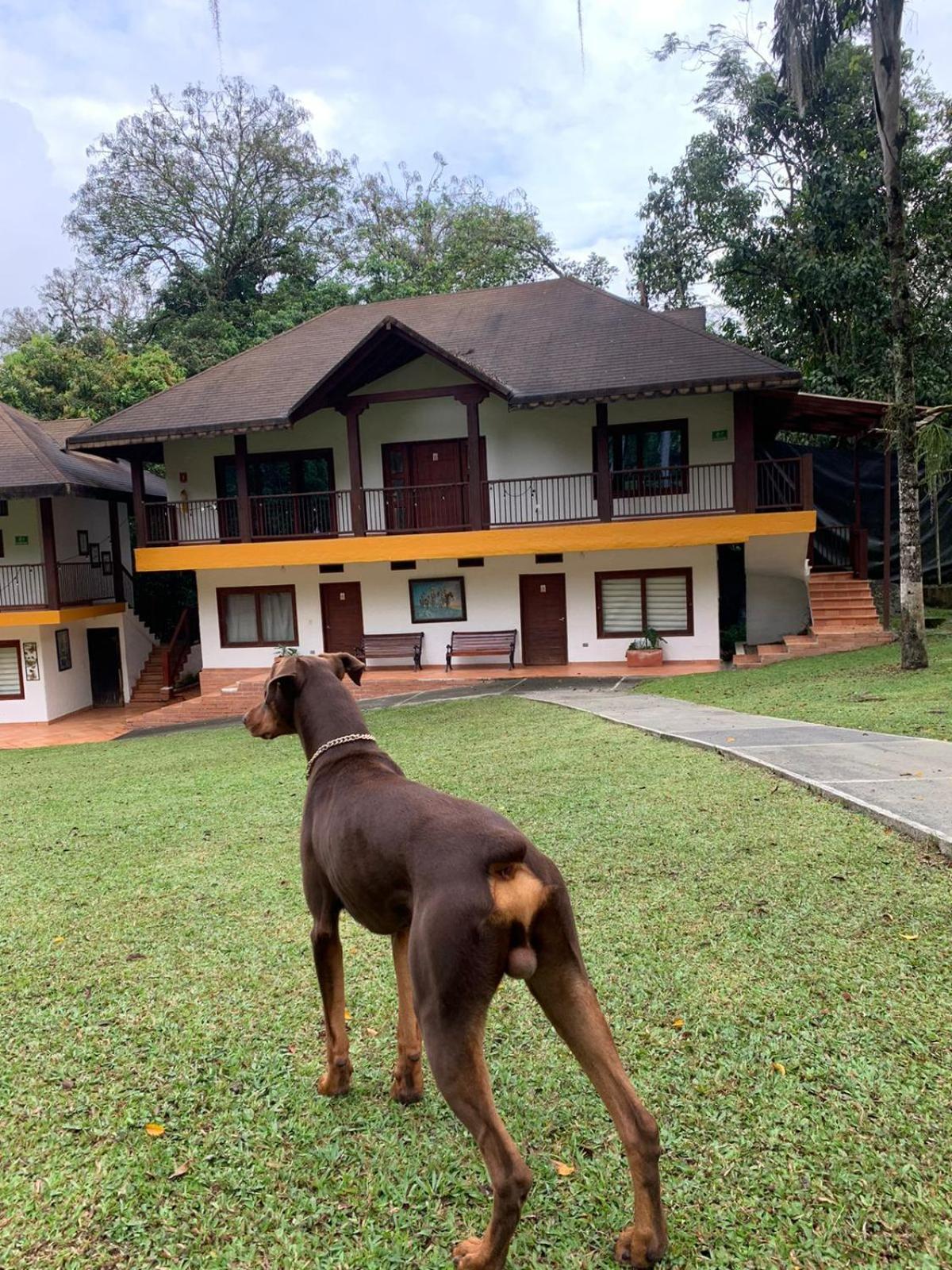 Finca Hotel La Consentida Escondida San Jerónimo Eksteriør bilde